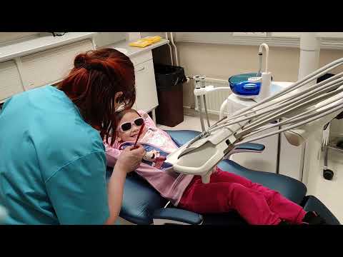 Video: Koirasi ottaminen hammaslääkärille
