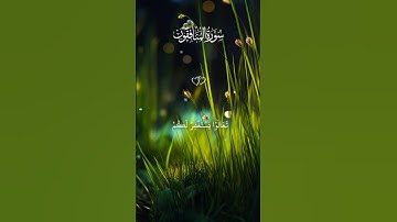 وإذا قيل لهم تعالو #قناة_القرآن_الكريم #قران_كريم #قرآن #تلاوة_خاشعة#راحة_نفسية