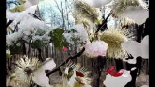 Canta La Stupca O Vioara Ciprian Porumbescu  Balada For Violin Op29 play A Violin At Stupca