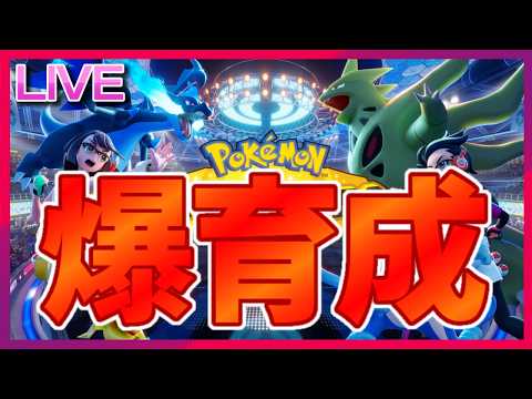 チャンピオンズに備えてみんなで育成しようの会