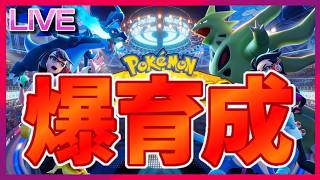 チャンピオンズに備えてみんなで育成しようの会