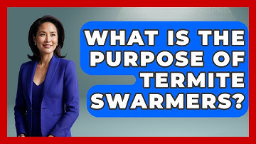 What Is The Purpose Of Termite Swarmers? - Insects and Invaders