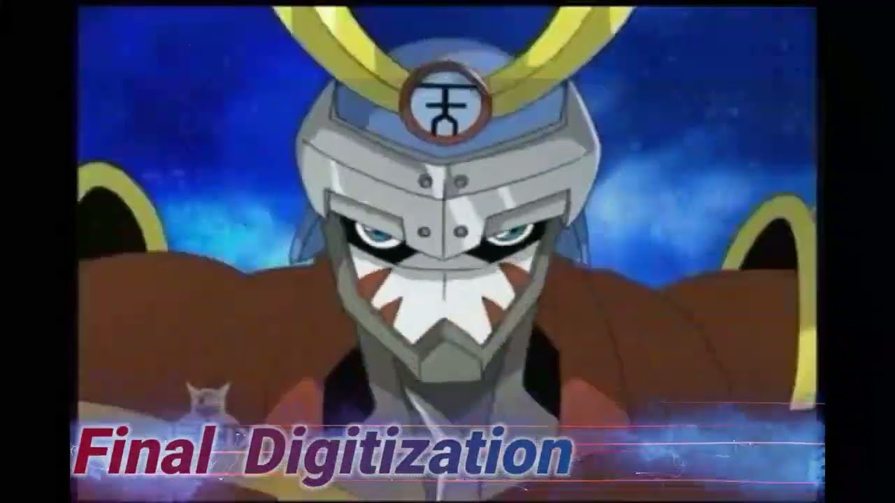 Digitized Fractal Codes