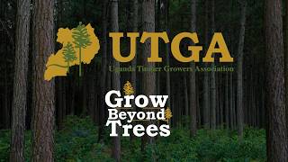 Tree planting is a long-term win