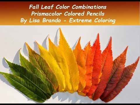 fall-leaves-color-combinations---choosing-coloring-for-fall-leafs---prismacolor-colored-pencils