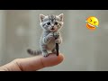 こちらの面白い動物たちに爆笑必至!😂