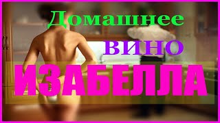 Вино из Изабеллы - первое , второе..шашлык