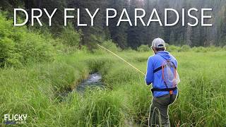This Tiny Creek Was THE Quintessential Dry Fly Fishing Experience