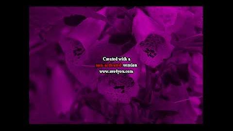 Video test