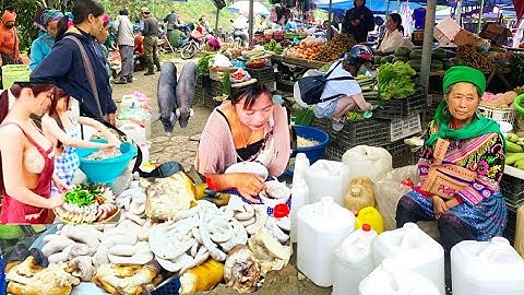Chợ Phiên đặc Sắc Tây Bắc & Thảo Dược Quý Ẩm Thực Gây Mê / dân vùng cao , 