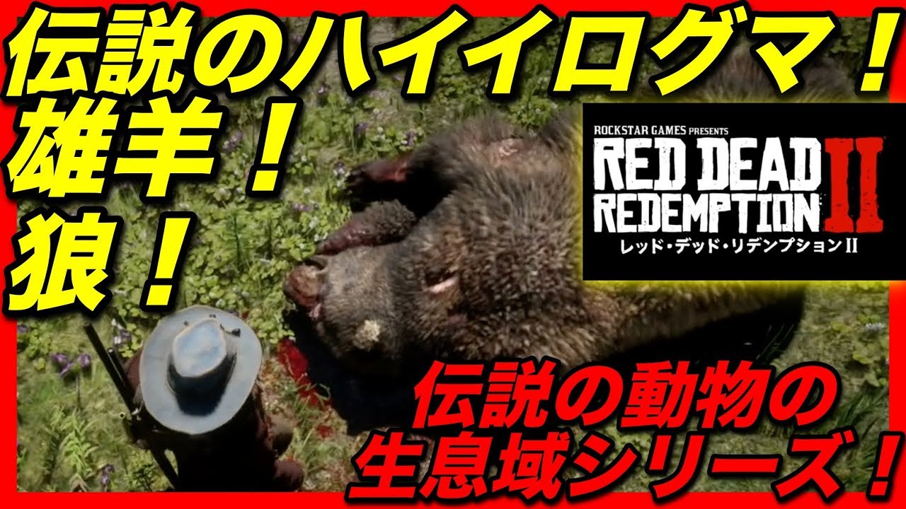 Rdr2 伝説の動物の生息地シリーズ第１弾 伝説のハイイログマ 狼 雄羊の生息地 アクセサリーとタリスマンの性能を考察 10 Youtube