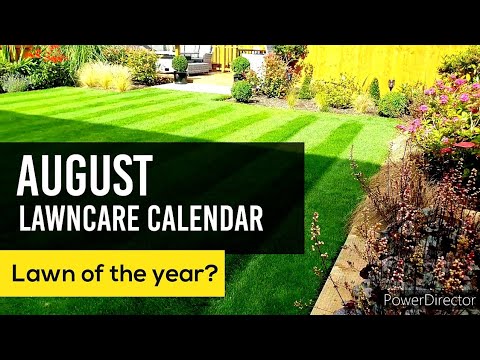 August DIY Lawncare Calendar // Iron Sulphate, Edging, Worm Casts