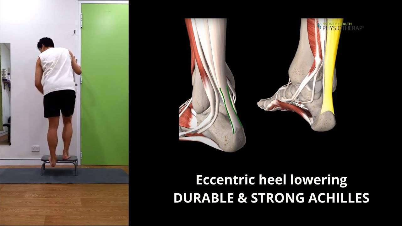 Eccentric heel lowering - DURABLE & STRONG ACHILLES