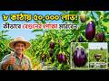৮ কাঠা জমিতে বেগুন চাষে ৫০ হাজার লাভ! | সম্পূর্ণ গাইড (বীজ থেকে বিক্রি পর্যন্ত)