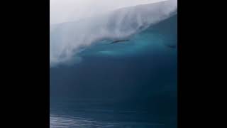 Top video of 2021 very interesting