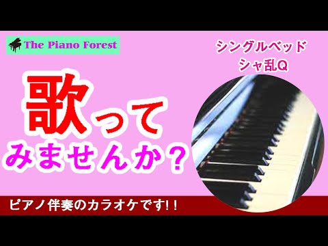 【ピアノカラオケ】シングルベッド　/ シャ乱Q