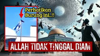 BURUNG ‘ABABIL’ DIKIRIM OLEH ALLAH.!! WARGA ISRAEL KETAKUTAN, PERTANDA BAHWA MURKA ALLAH TELAH DEKAT