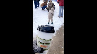 Making Friends at Christmas at Kentucky Kingdom