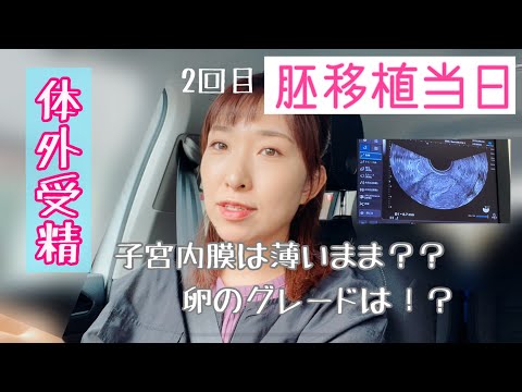 【2人目不妊】2回目の胚移植当日の様子　体外受精 経過報告【妊活Vlog】