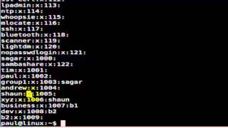 How to read the etc group file in Unix