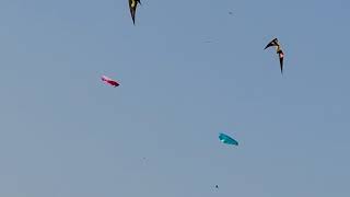2021屏東風箏節！環遊世界趣