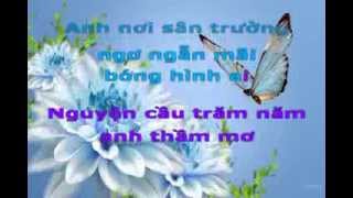 Chuyện tình hoa bướm - karaoke - Cẩm Ly