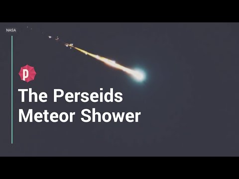 Perseid Meteor Shower
