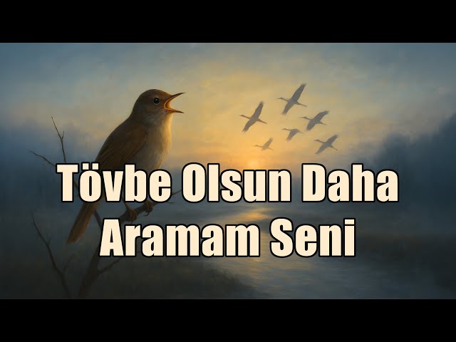 Tövbe Olsun Daha Aramam Seni | Anatolian Psychedelic Rock Cover (Anatolian Rock Echoes)