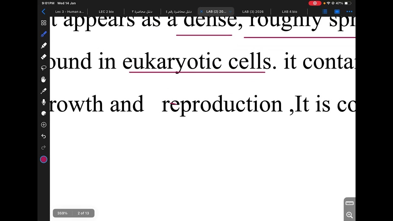 Lab 2 / medical biology 