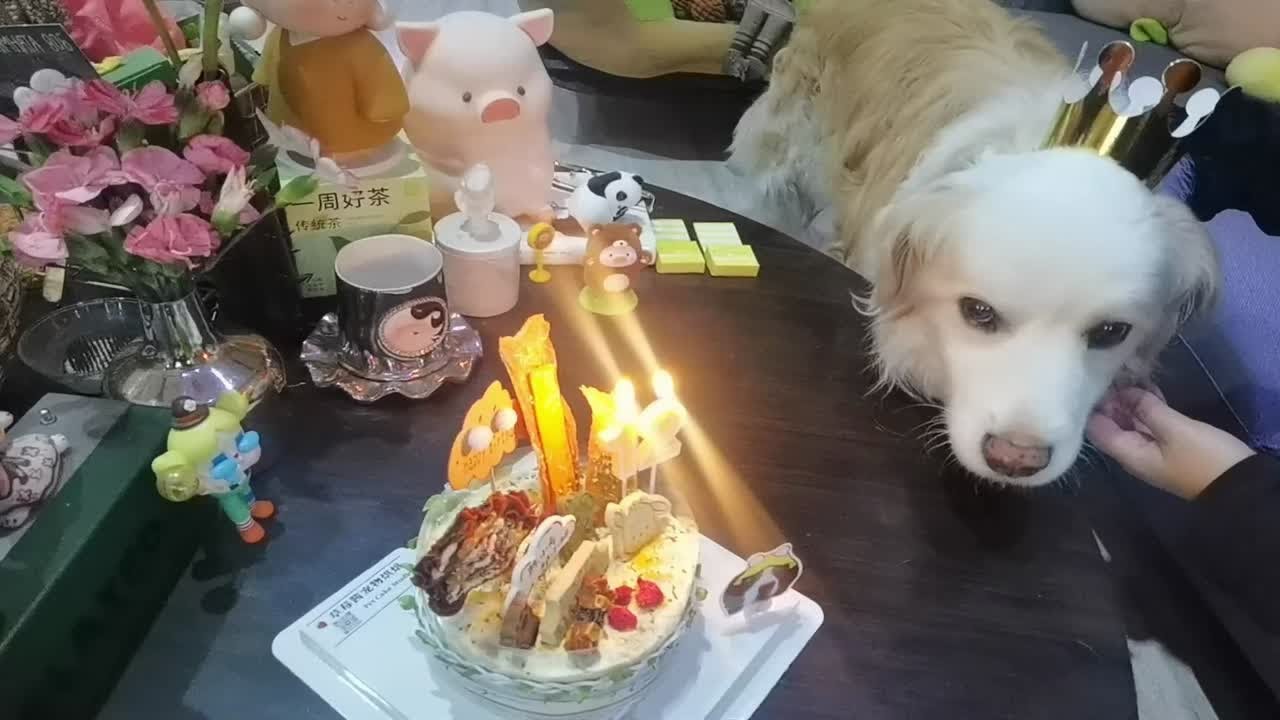 乔乔妮妮12岁生日快乐 - YouTube