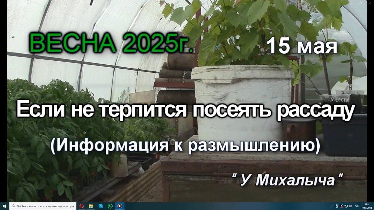 Весна  Май  Если не терпится посеять рассаду