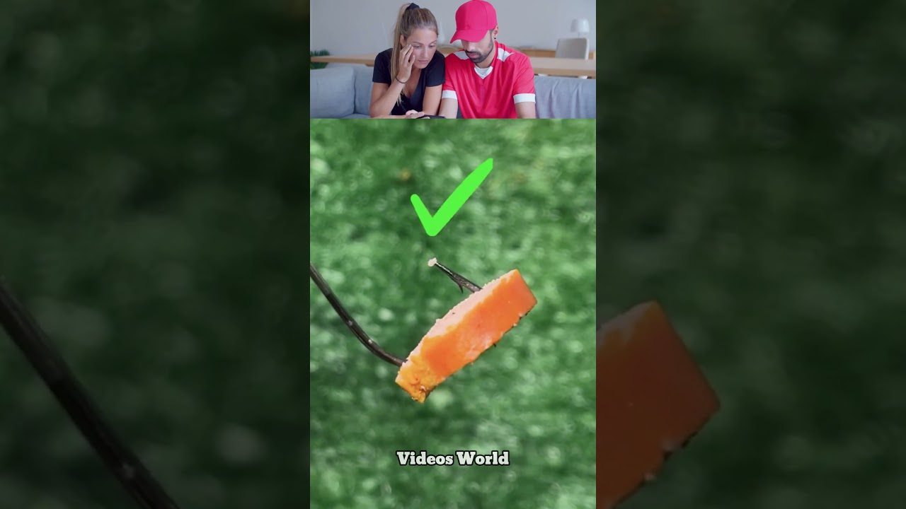 Creative Shark Fishing Trick😀