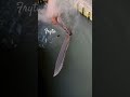 proses penyepuhan pisau sembelih ayam #viral #craft #blacksmith #handmade #fyp #art