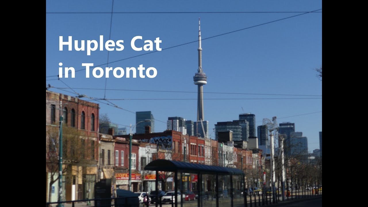 download free music HotDocs 2019- Reaction to 