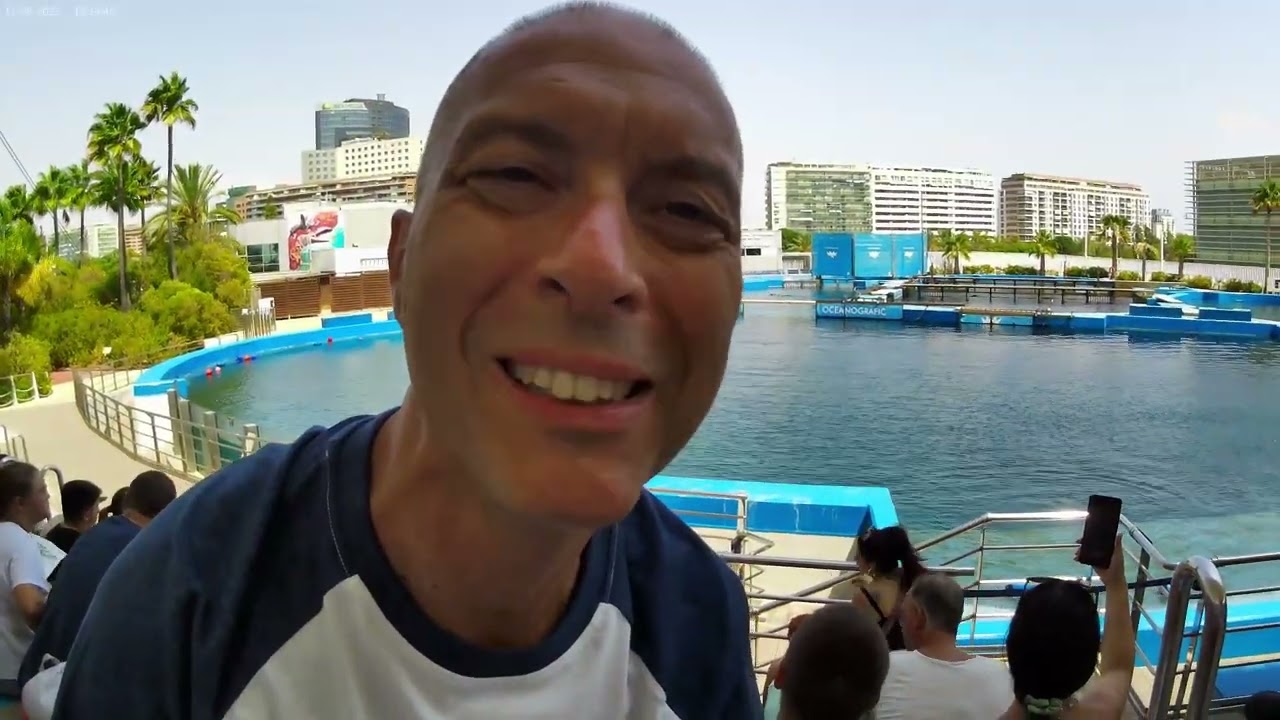 viva Valencia 2a parte