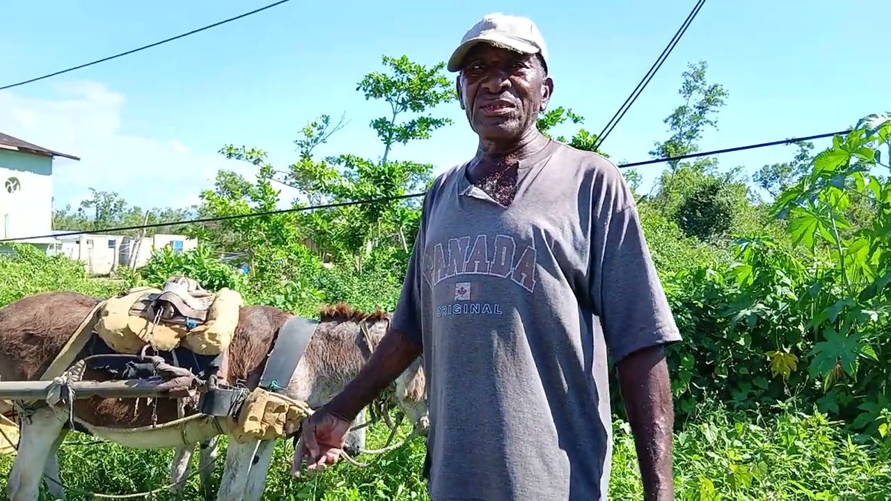 Aston The Coal Man From Big Bridge Savanalamar & His Donkey Cart. 