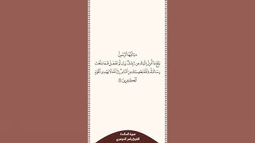 تلاوة في ٣٠ ثانية سورة المائدة الآية ٦٧ الشيخ ياسر الدوسري
