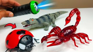 RC Realistic Gubraila Prank Gadget Unbxoxing  & Testing - Chatpat toy tv