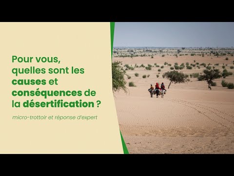 Vidéo: Quelles sont les principales causes de la désertification en Afrique ?