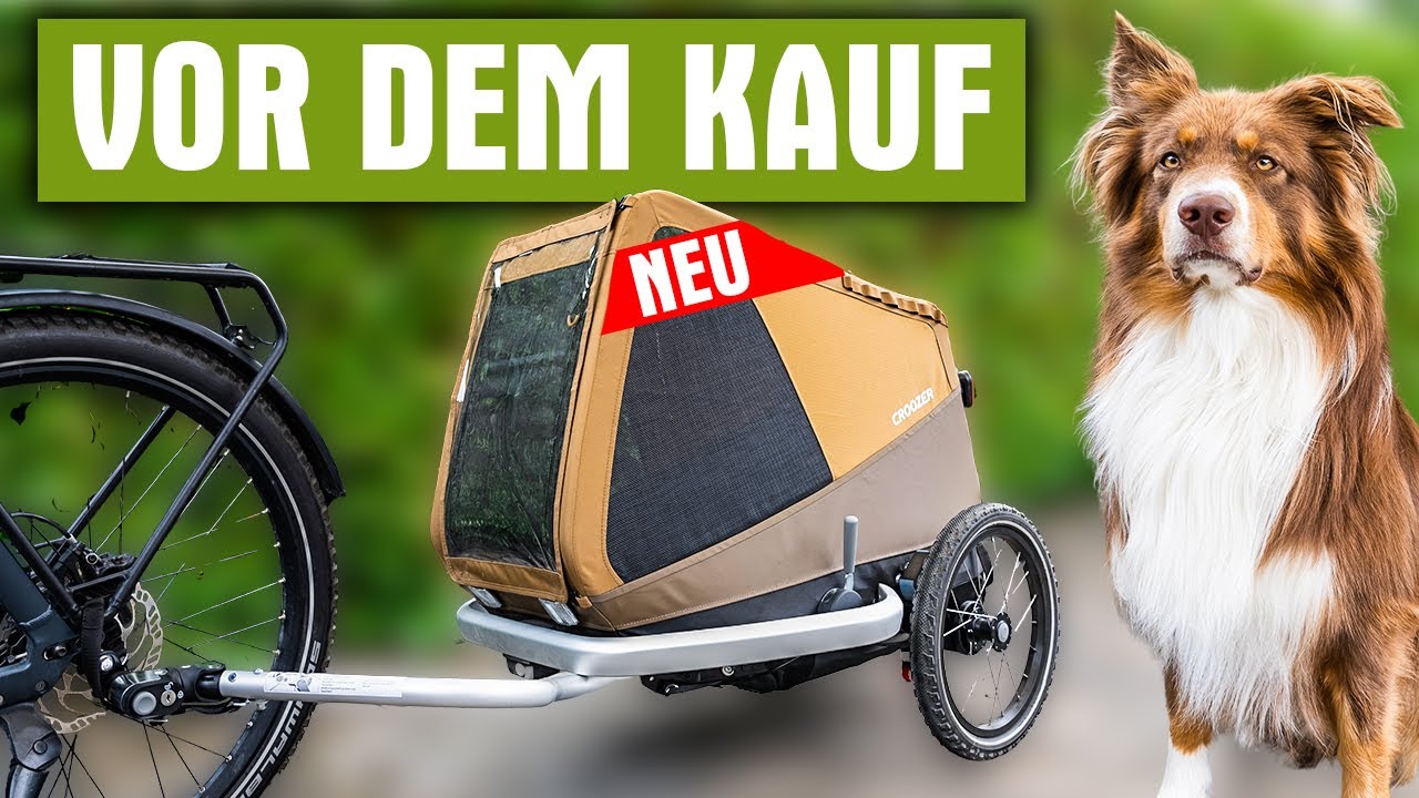 Hundeanhänger fürs Fahrrad: Der Croozer Dog für große Hunde