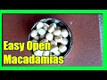 How To Open Macadamia Nuts: Easy, Quick Homemade Macadamia Opener