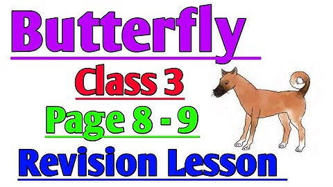 Butterfly | Class 3 | Revision Lesson | Page 8-9 | English | Primary Book @ClassesofPradyutSir
