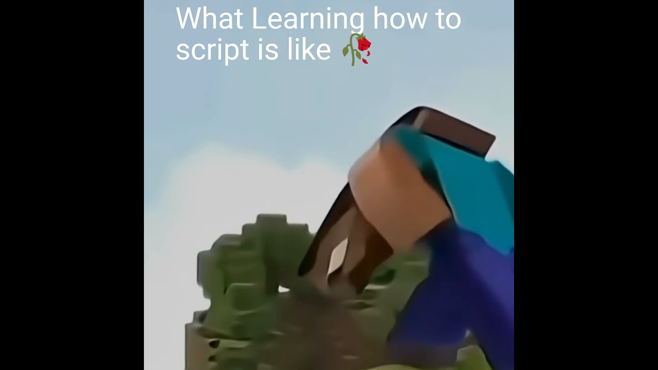 What Learning how to script is like 🥀 