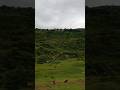 The Neeladri Lake Trend: A Viral Mystery Explained