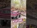 When the Roots Fight Back 🥊