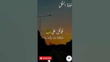 اكتب شيء تؤجر عليه 🤍 🤲🏻 #quran #اسلام #قرآن #راحة_نفسية #سورة_النمل