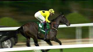 Vidéo de la course PMU NEOM TURF CUP PRESENTED BY HOWDEN