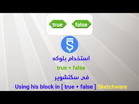 استخدام بلوكه [true+false] فى سكتشويرUsing his block in [ true + false ...
