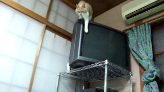 DSCF5208.AVI