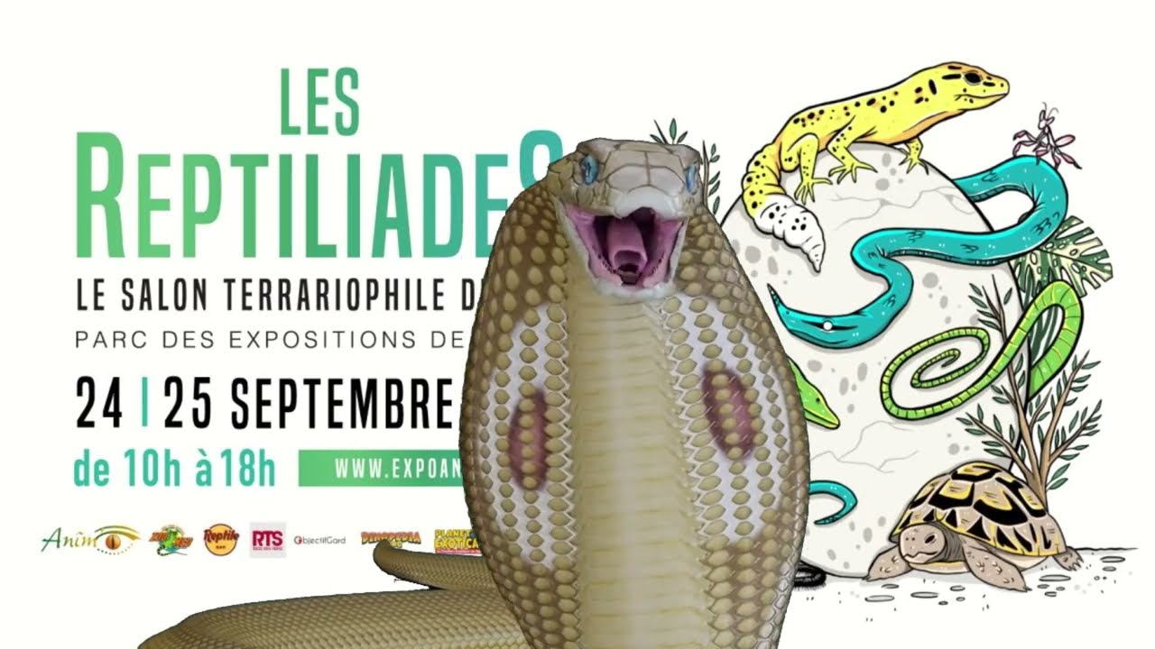 REPTILIADES NÎMES 2022